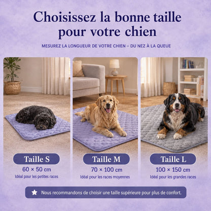Tapis chien rafraichissant