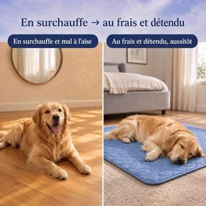 Tapis chien rafraichissant