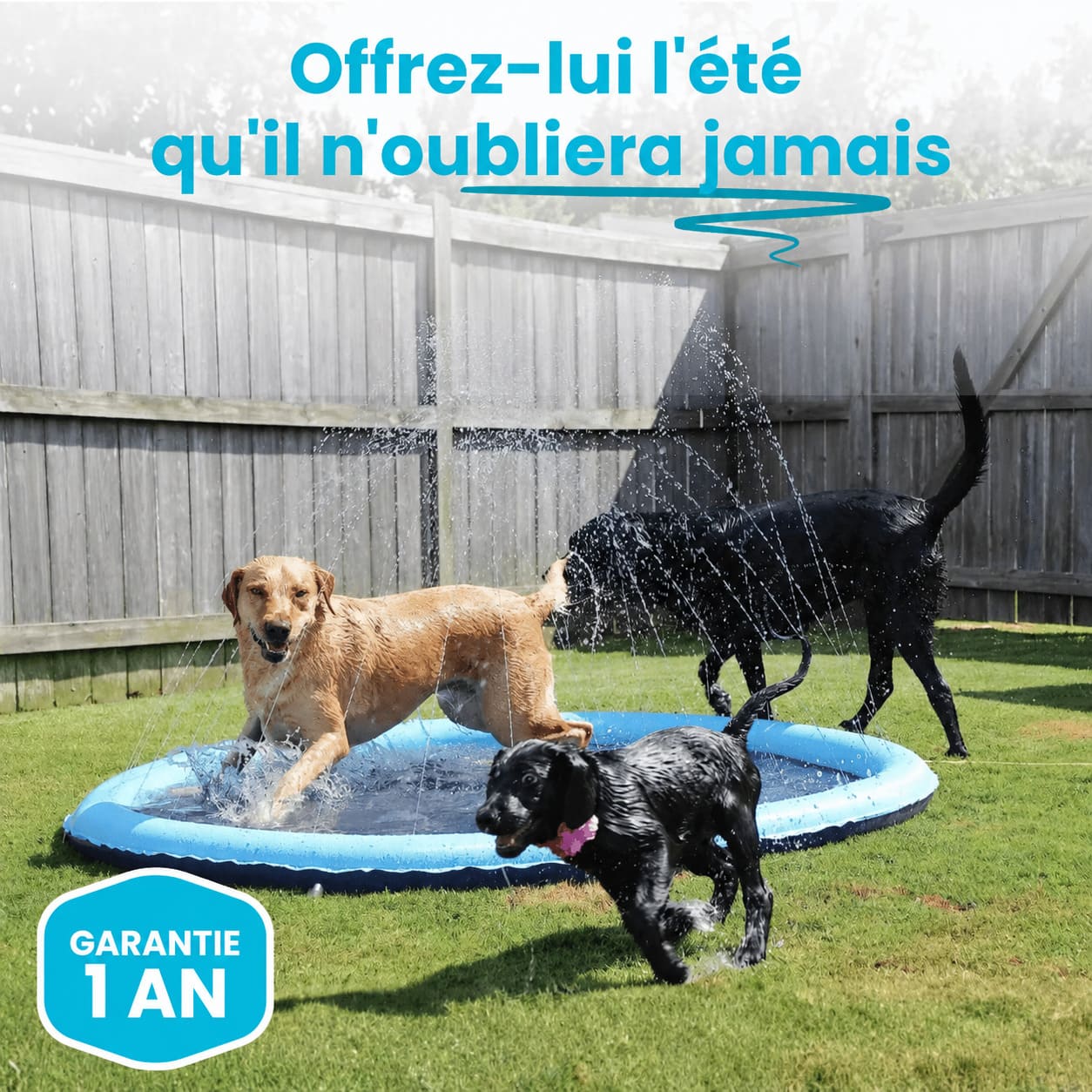 Tapis d'Eau Rafraîchissant pour Chien