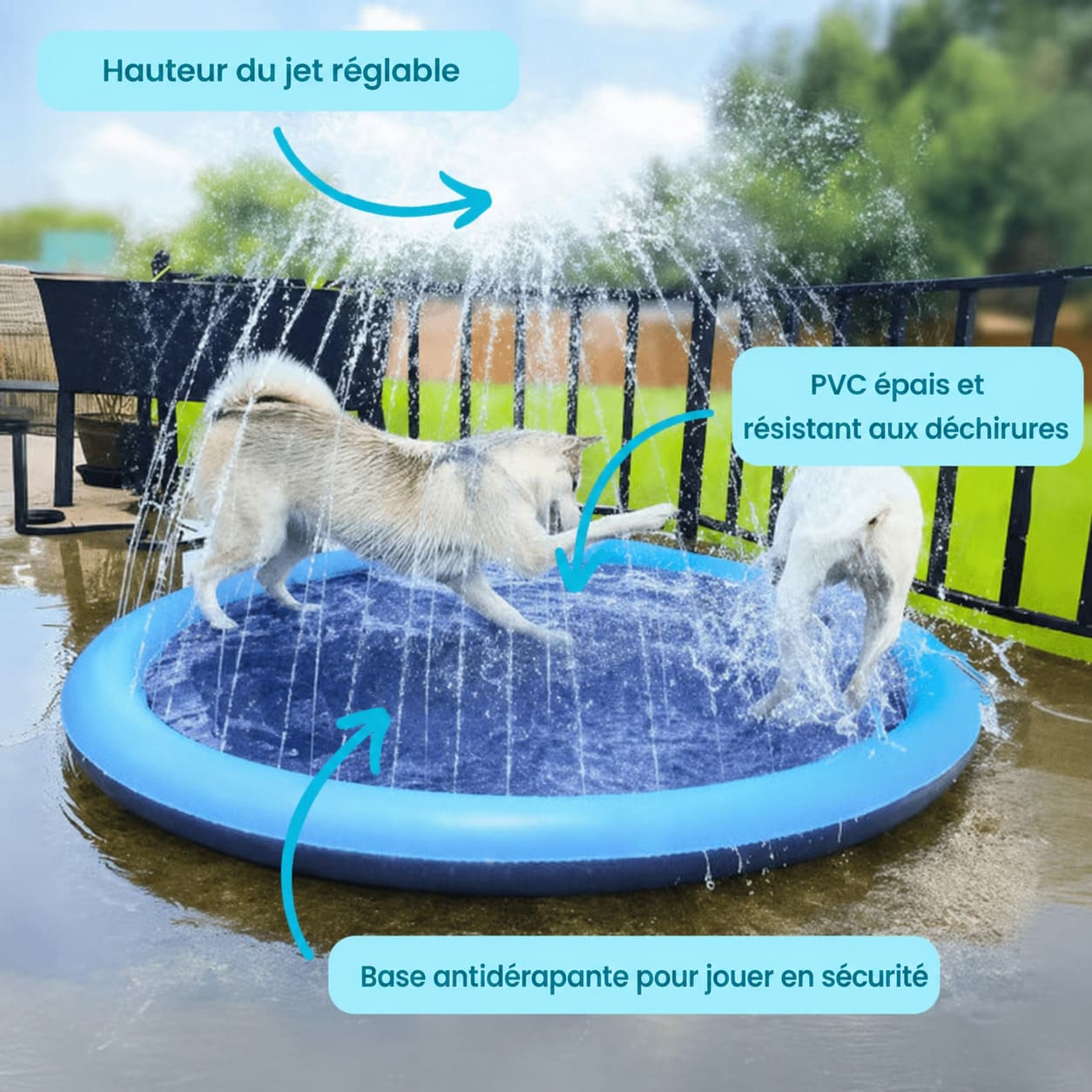 Tapis d'Eau Rafraîchissant pour Chien