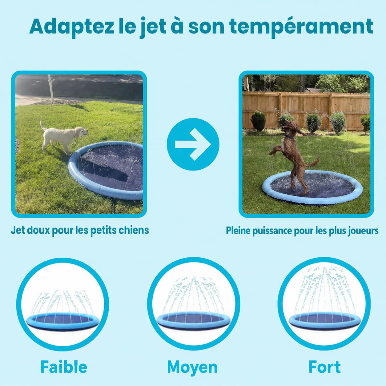 Tapis d'Eau Rafraîchissant pour Chien