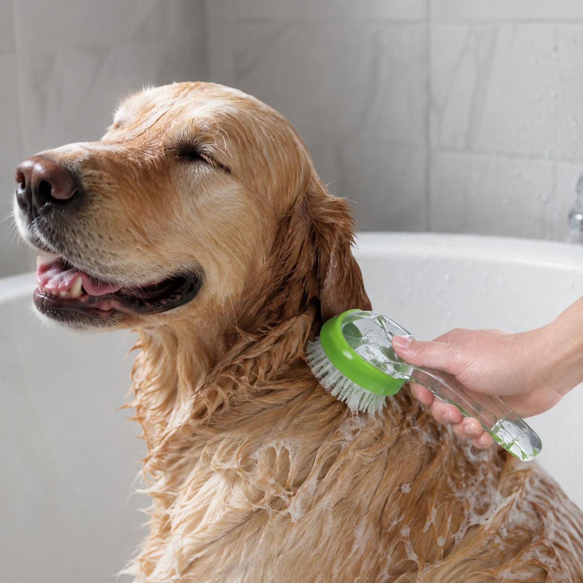 Brosse à Shampoing Massante pour Chien & Chat