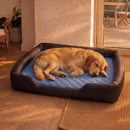 Tapis chien rafraichissant
